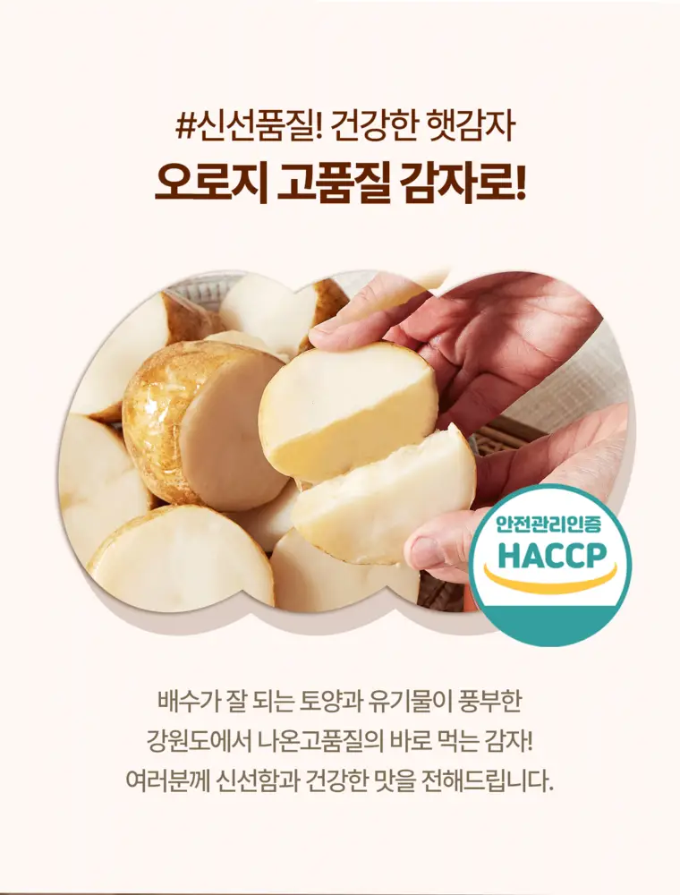 엘로아시스 바로먹는 찐감자 120g 10개 상세페이지 2