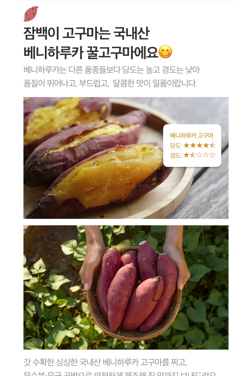 잠백이 실온 보관 꿀 고구마 10개입 상세페이지 7