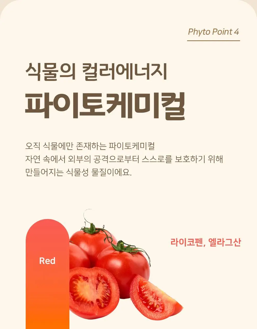 저스트그린 파이토스프 150g 레드 상세페이지 25