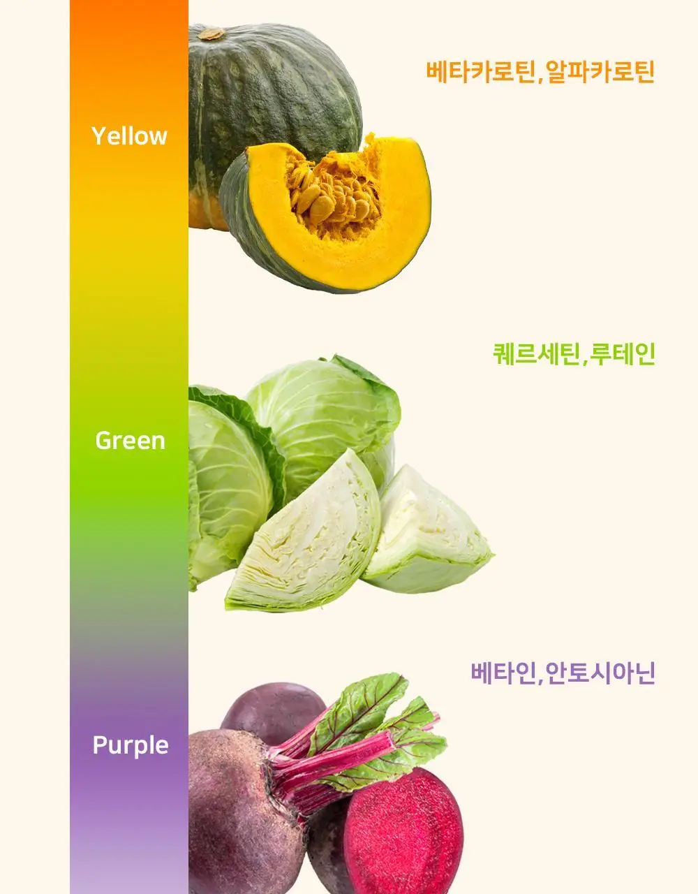 저스트그린 파이토스프 150g 퍼플 상세페이지 27