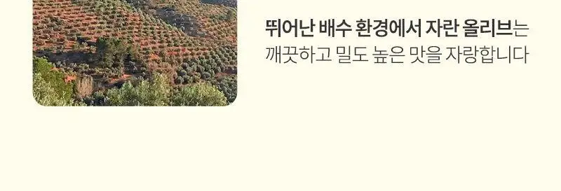 다신 성수동 유기농 엑스트라버진 올리브오일 100% 10g 14포 상세페이지 15