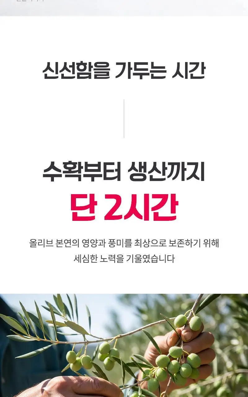 다신 성수동 유기농 엑스트라버진 올리브오일 100% 10g 14포 상세페이지 17
