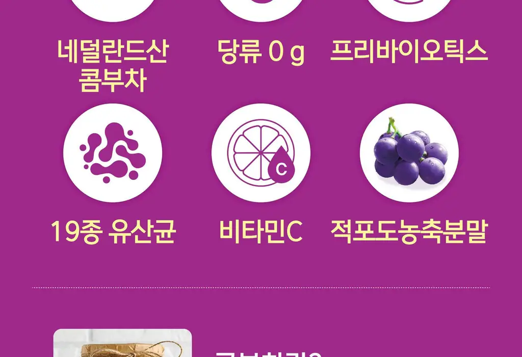 담터 포켓몬 콤부차 포도 10+3T 스티커 증정기획 상세페이지 9