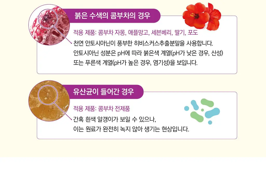 담터 포켓몬 콤부차 포도 10+3T 스티커 증정기획 상세페이지 34