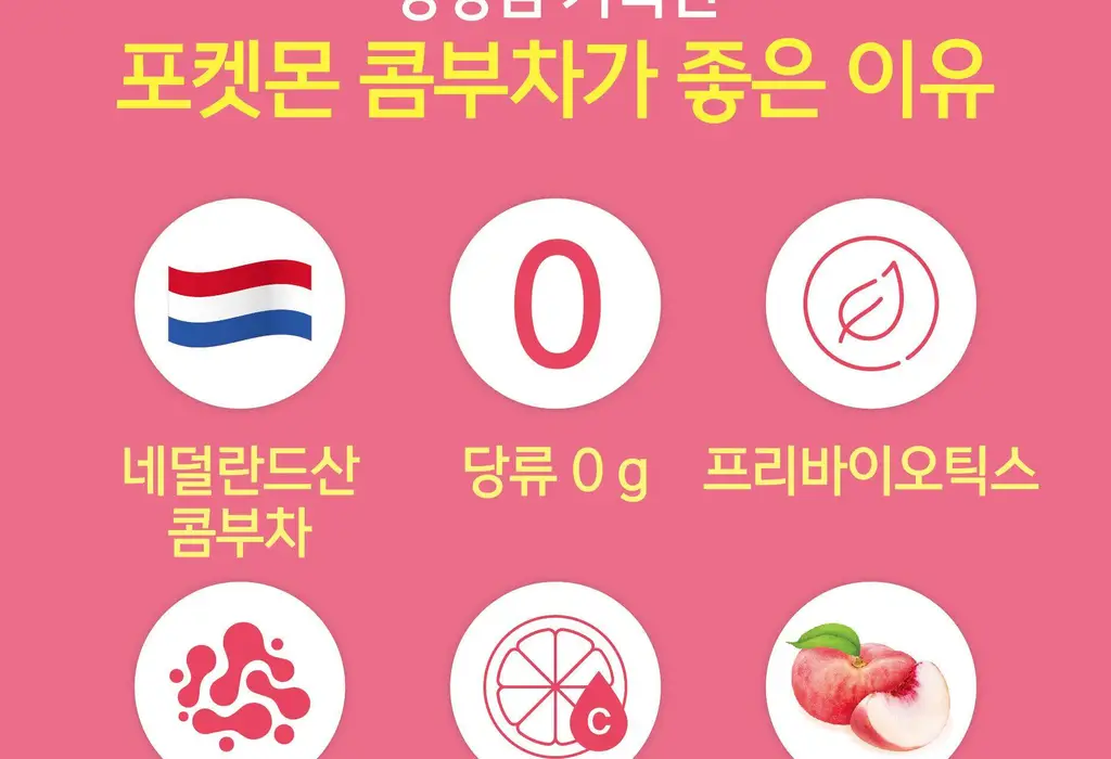 담터 포켓몬 콤부차 10T 5종 중 택1 상세페이지 10