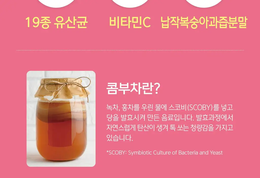 담터 포켓몬 콤부차 10T 5종 중 택1 상세페이지 11