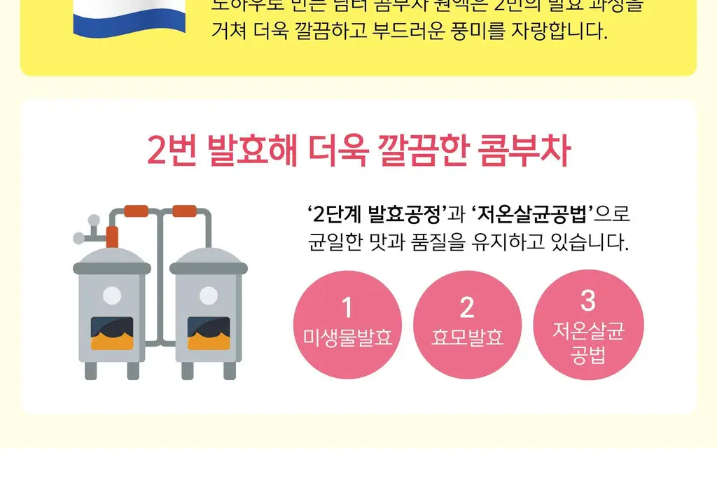 담터 포켓몬 콤부차 10T 5종 중 택1 상세페이지 13