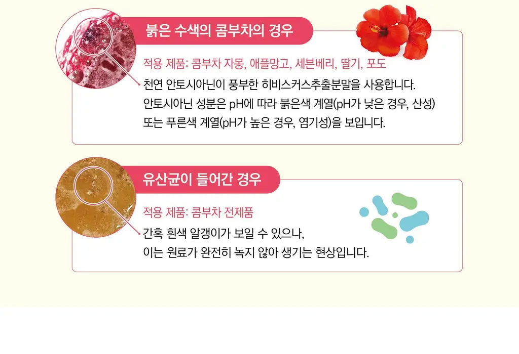 담터 포켓몬 콤부차 10T 5종 중 택1 상세페이지 35