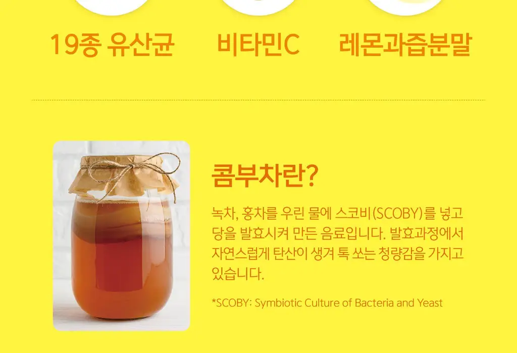 담터 포켓몬 콤부차 10T 5종 중 택1 상세페이지 44
