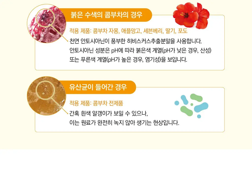 담터 포켓몬 콤부차 10T 5종 중 택1 상세페이지 68