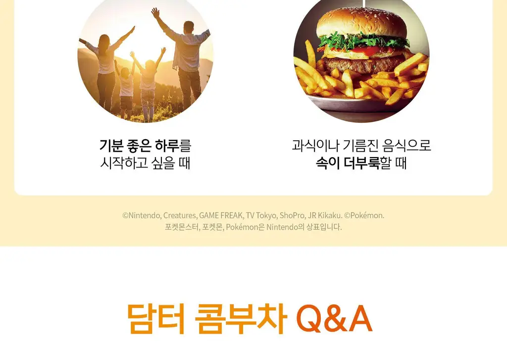 담터 포켓몬 콤부차 10T 5종 중 택1 상세페이지 94
