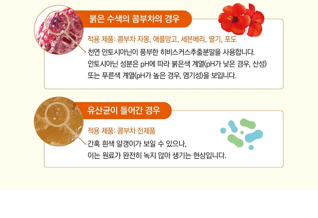 담터 포켓몬 콤부차 10T 5종 중 택1 상세페이지 101