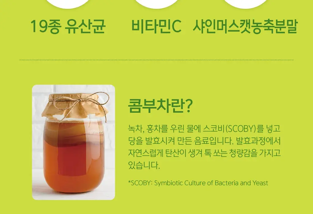 담터 포켓몬 콤부차 10T 5종 중 택1 상세페이지 110