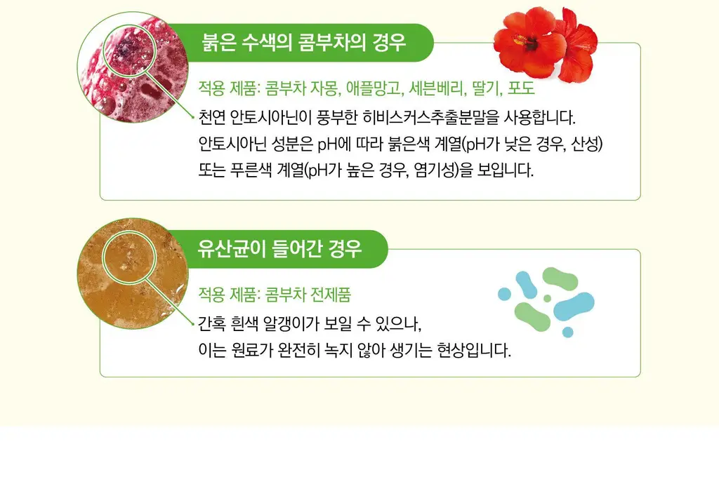 담터 포켓몬 콤부차 10T 5종 중 택1 상세페이지 134