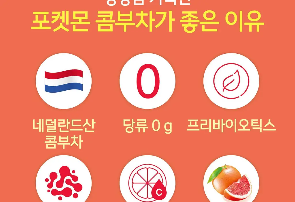 담터 포켓몬 콤부차 10T 5종 중 택1 상세페이지 142