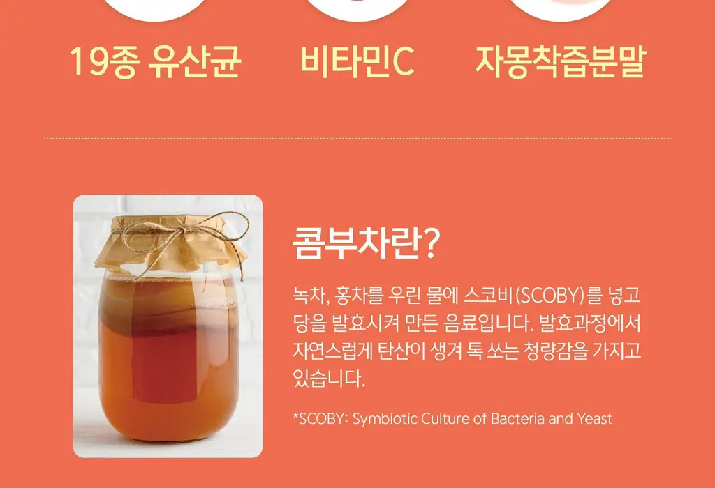 담터 포켓몬 콤부차 10T 5종 중 택1 상세페이지 143