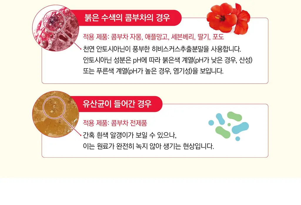 담터 포켓몬 콤부차 10T 5종 중 택1 상세페이지 167