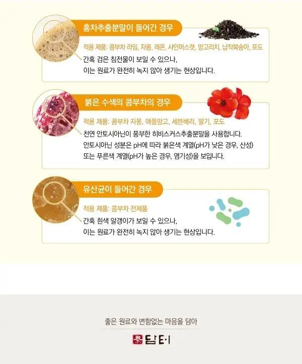담터 포켓몬 콤부차 30T 4종 중 택1 상세페이지 11