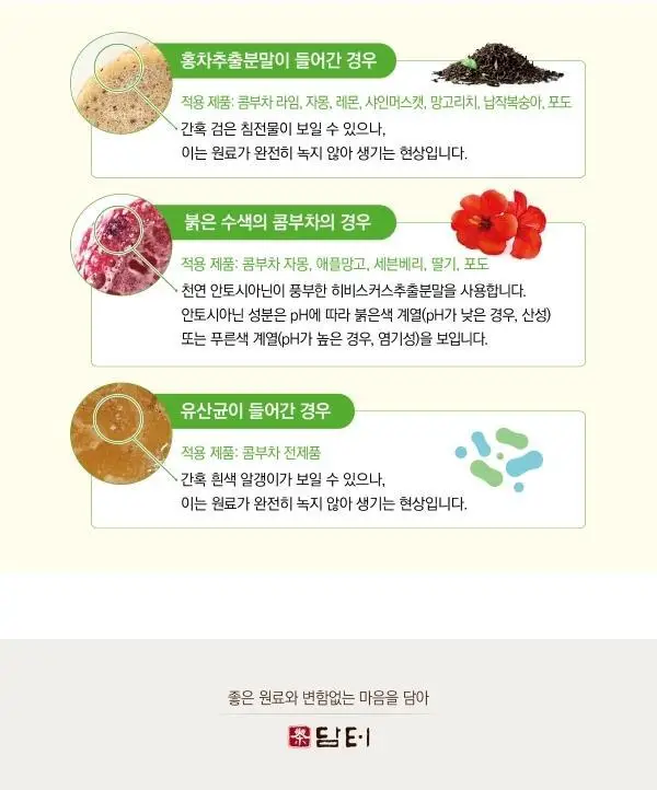 담터 포켓몬 콤부차 30T 4종 중 택1 상세페이지 22