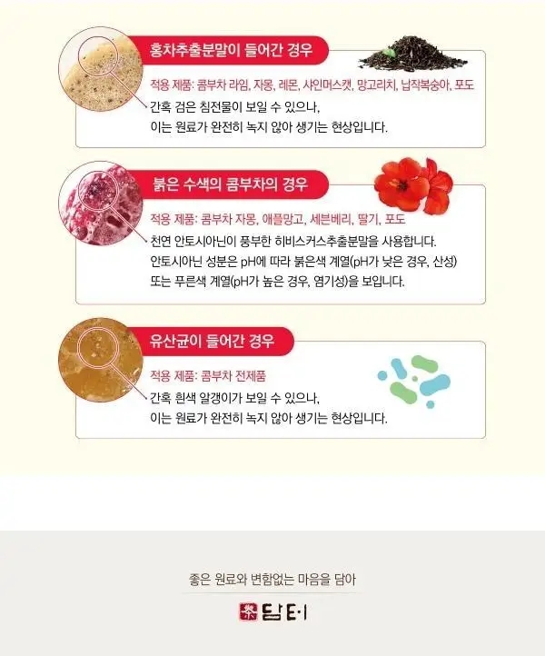 담터 포켓몬 콤부차 30T 4종 중 택1 상세페이지 33