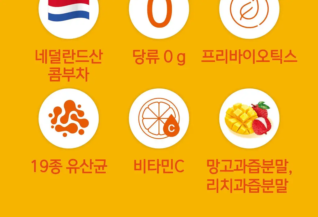 담터 포켓몬 콤부차 30T 4종 중 택1 상세페이지 40