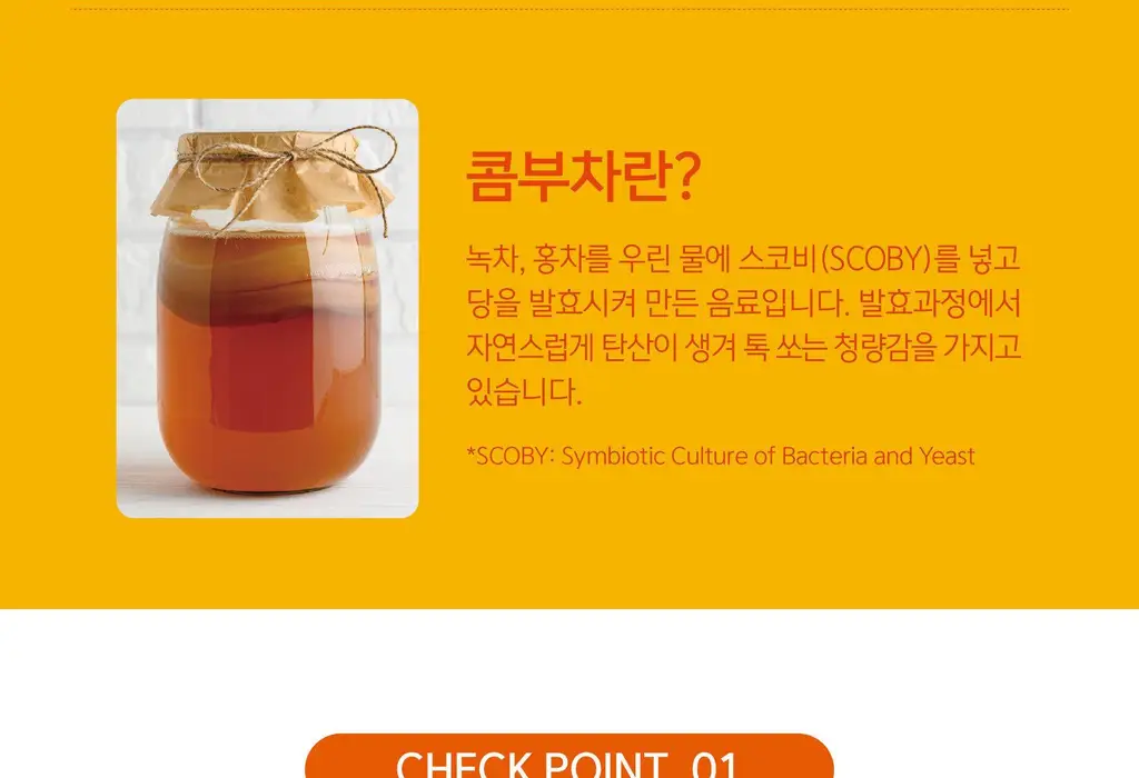 담터 포켓몬 콤부차 30T 4종 중 택1 상세페이지 41