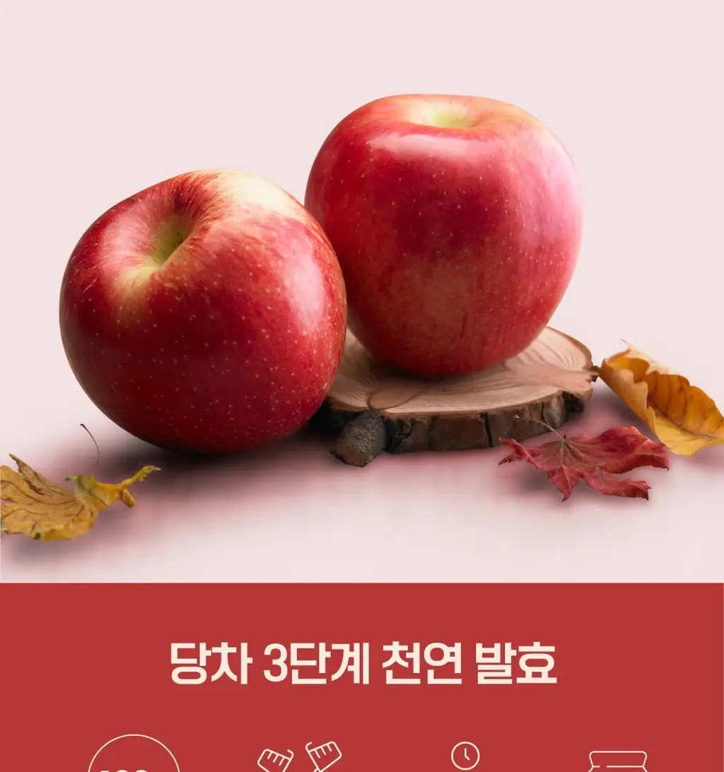 당차 밸런스턴온 15포 (애사비 자몽맛) 상세페이지 15