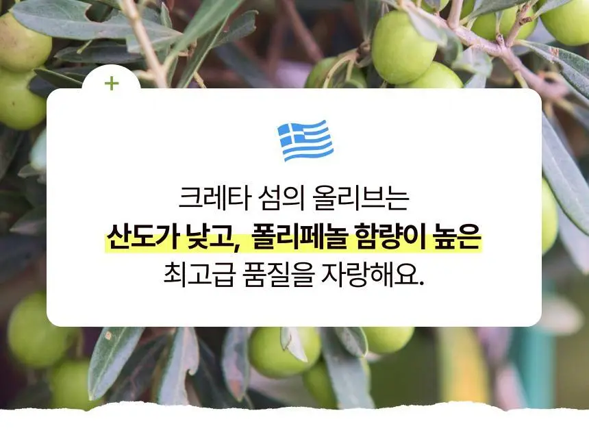 뚜띠프루티 우린 올리브토마토에오 14포 상세페이지 29