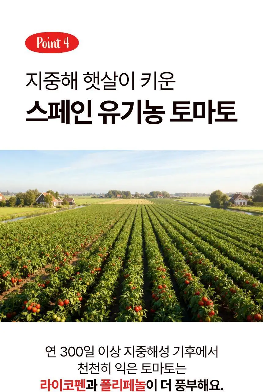 뚜띠프루티 우린 올리브토마토에오 14포 상세페이지 30