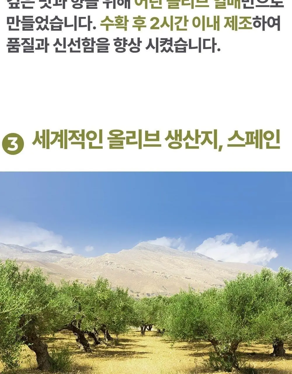 미니올리바 올리브오일 3종 택1 (엑스트라버진/발사믹비네그레트/화이트트러플) 상세페이지 7