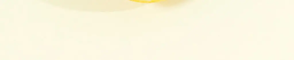 베지어트 슈퍼 그린클렌즈 파이토케미컬 레몬맛 15포 상세페이지 8
