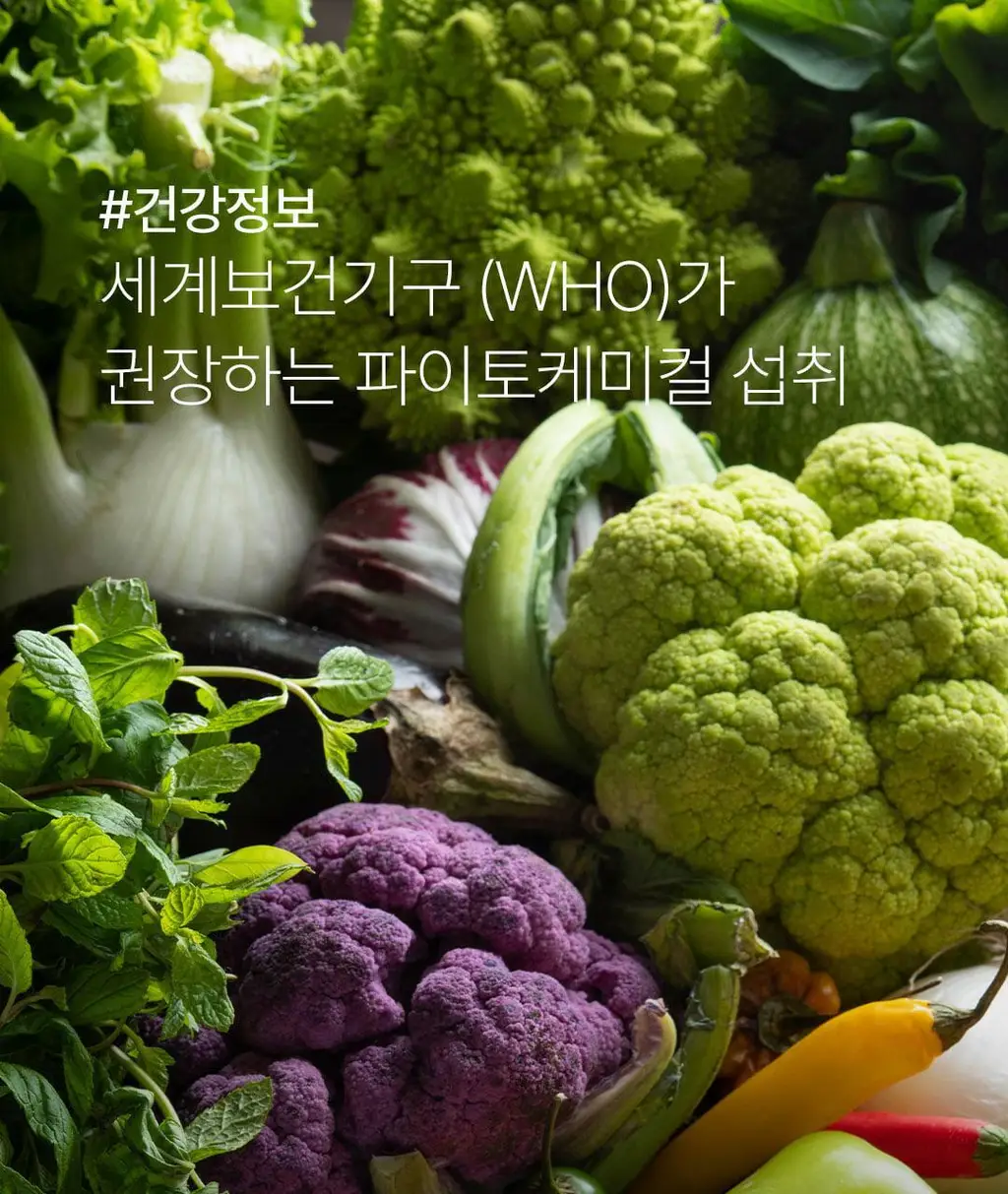 베지어트 슈퍼 그린클렌즈 파이토케미컬 레몬맛 15포 상세페이지 14