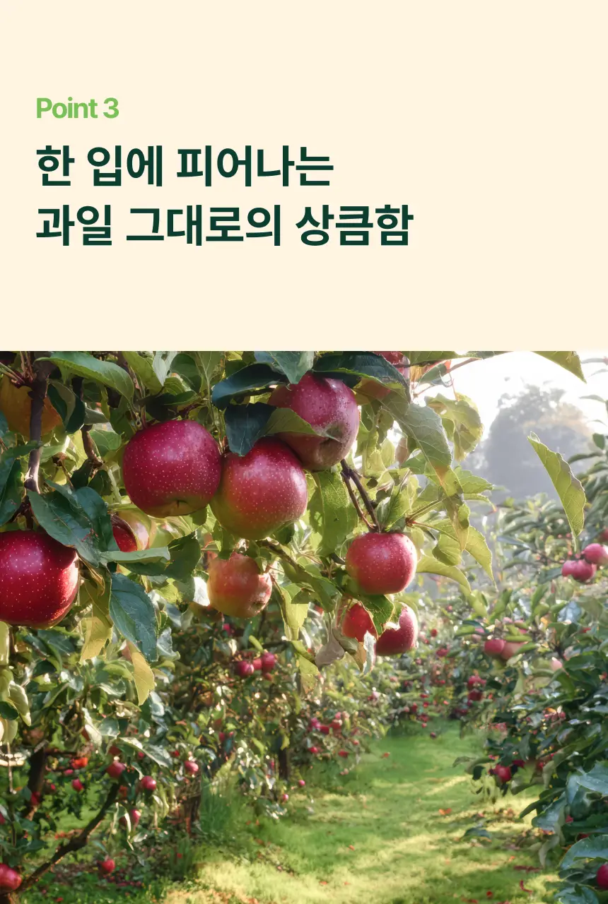 브리보 프리바이오틱소다 사과 355ml 상세페이지 27