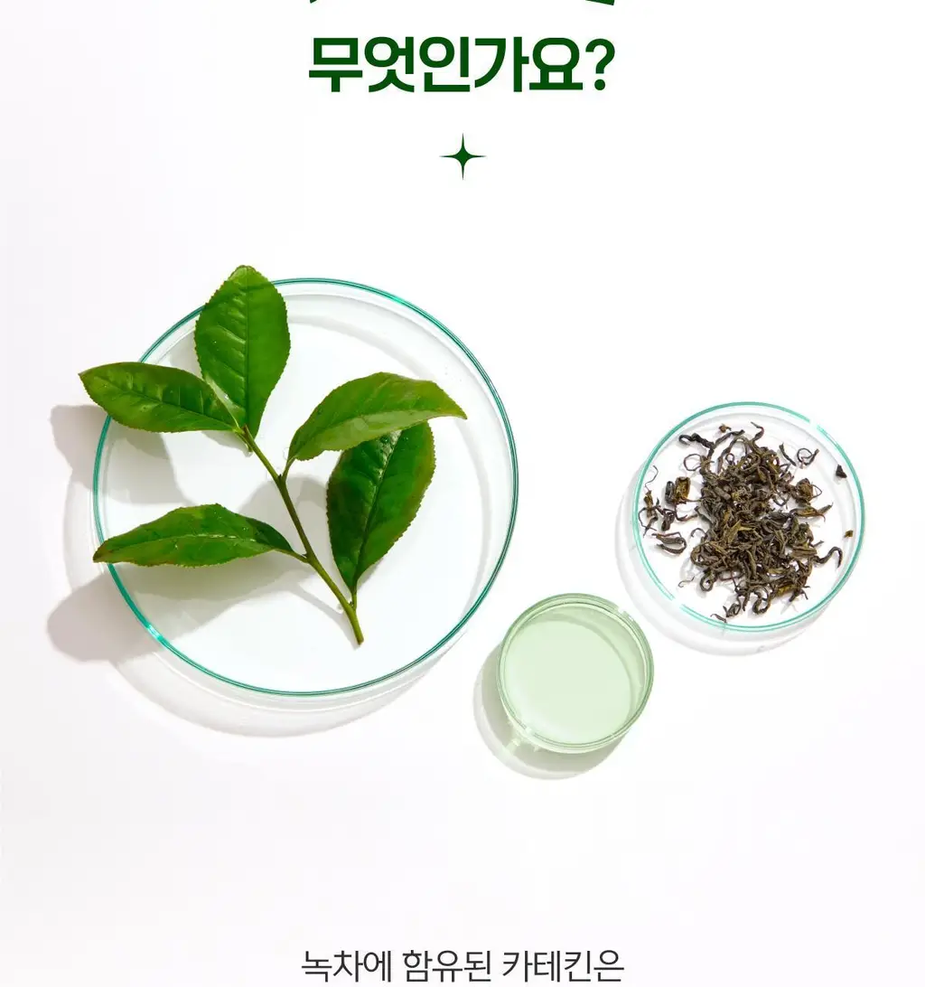 빼차 라이트턴온 15포 (레몬녹차꿀) 상세페이지 14