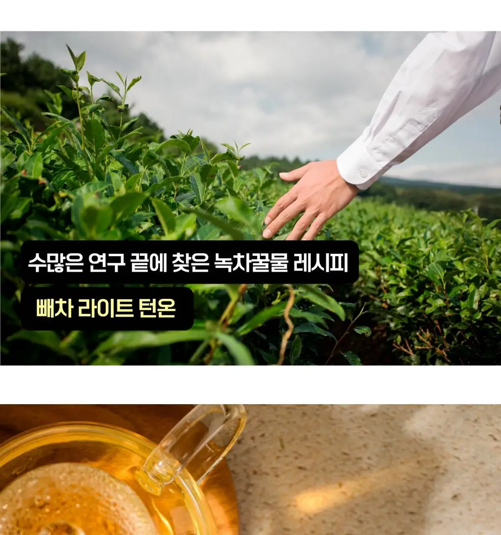 빼차 라이트턴온 15포 (레몬녹차꿀) 상세페이지 17
