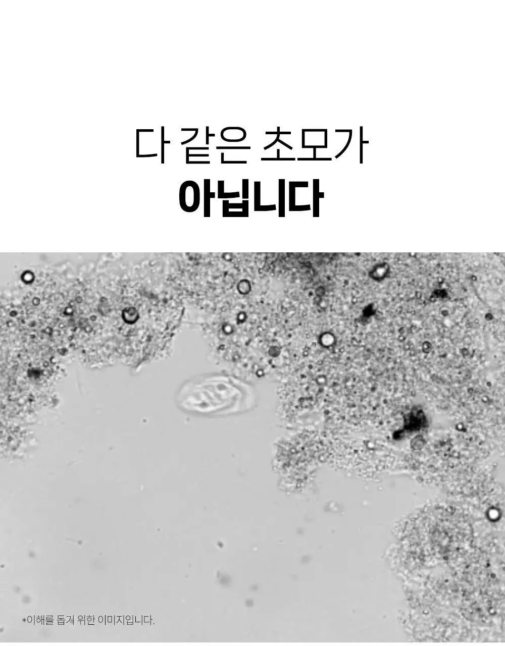 뺄리 클렌즈 애사비 15g*10포 3종 택1 (사과맛/샤인머스캣맛/피치맛) 상세페이지 27