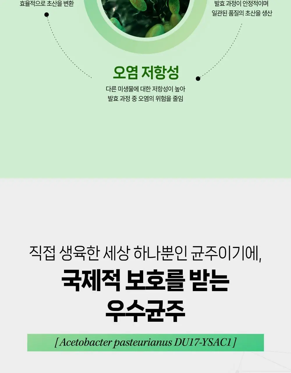뺄리 클렌즈 애사비 15g*10포 3종 택1 (사과맛/샤인머스캣맛/피치맛) 상세페이지 30