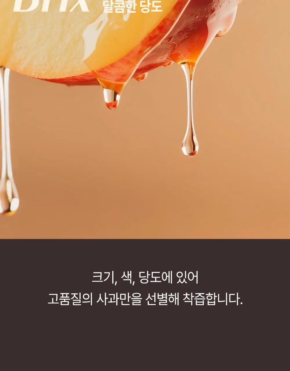 뺄리 클렌즈 애사비 15g*10포 3종 택1 (사과맛/샤인머스캣맛/피치맛) 상세페이지 33