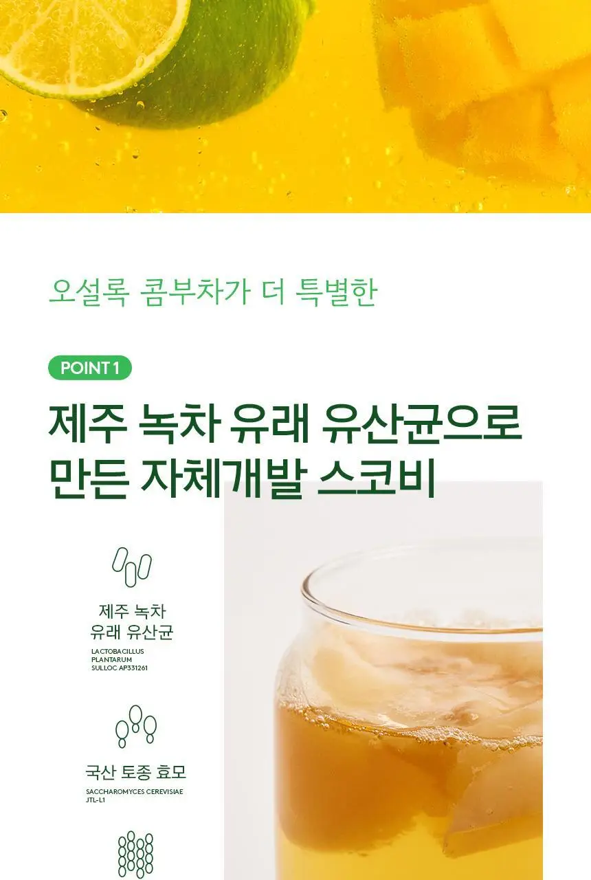 오설록 콤부차 깔라망고 10입 50g 상세페이지 5