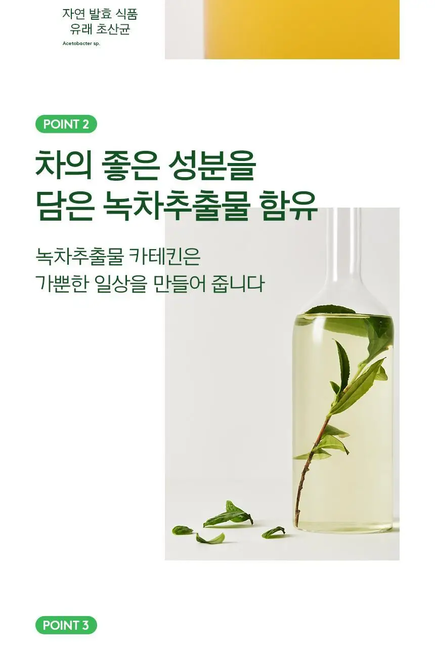 오설록 콤부차 깔라망고 10입 50g 상세페이지 6