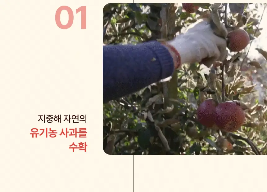 있나요 100% 유기농 애플사이다비니거 클렌즈 애사비 15g 14포 상세페이지 43