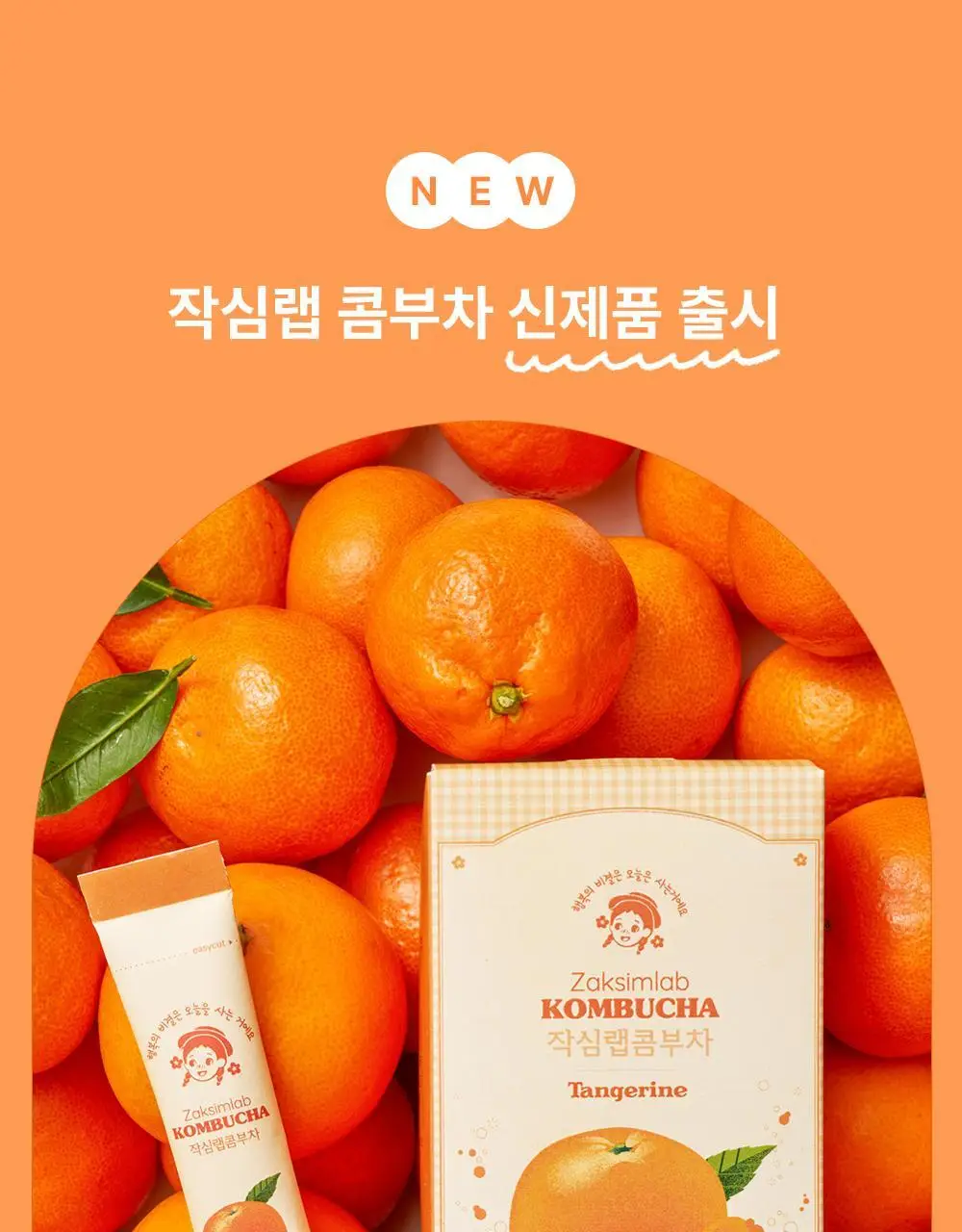 작심랩 콤부차 10포 8종 택1 상세페이지 3