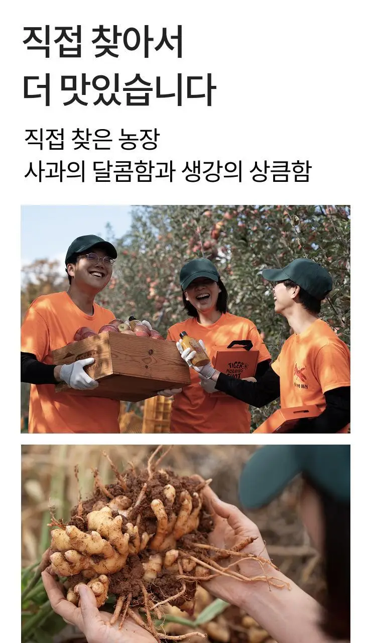 타이거모닝 타이거 진저샷 레몬 모닝샷 스타터키트 (10일분) 상세페이지 35