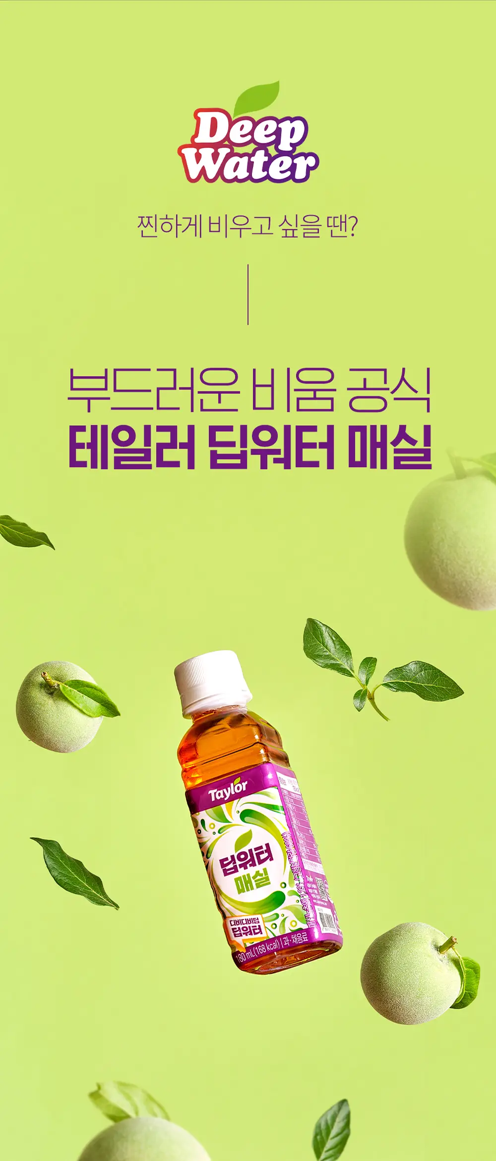 테일러 딥워터 매실 180ml*24개입 상세페이지 5