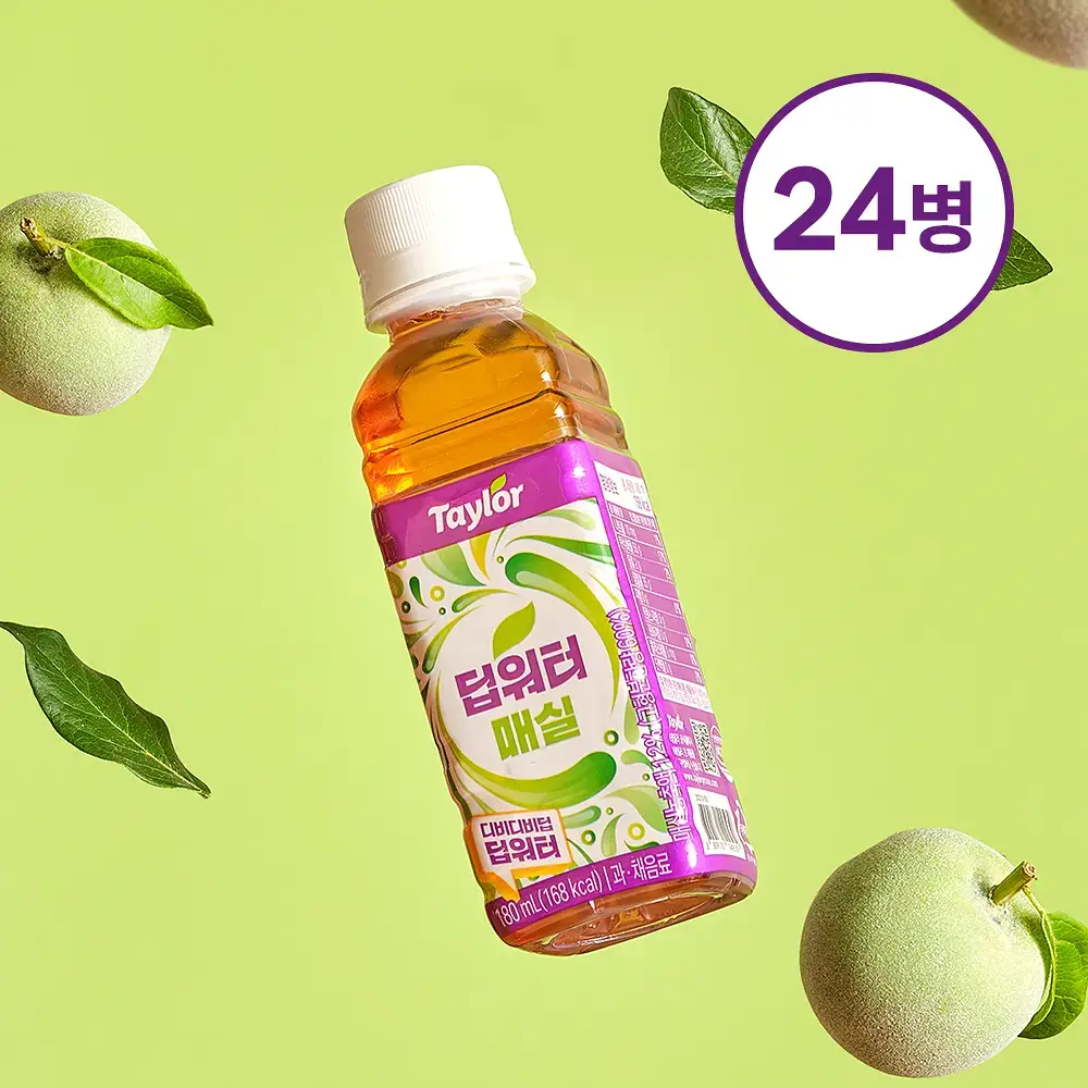 테일러 딥워터 매실 180ml*24개입