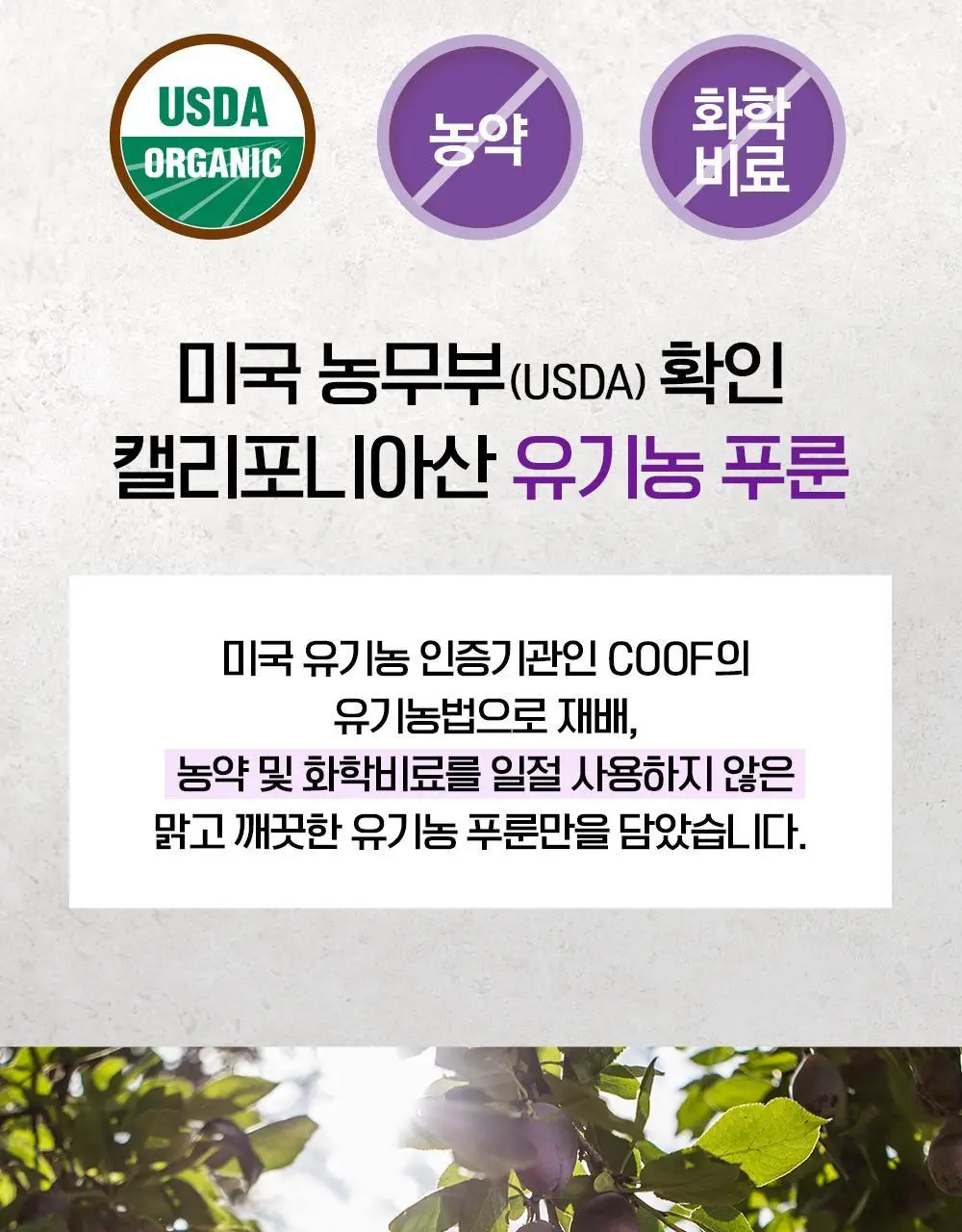 테일러 유기농하루푸룬 20g 10개입 상세페이지 19