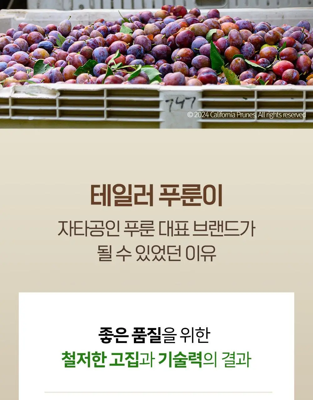 테일러 유기농하루푸룬 20g 10개입 상세페이지 26