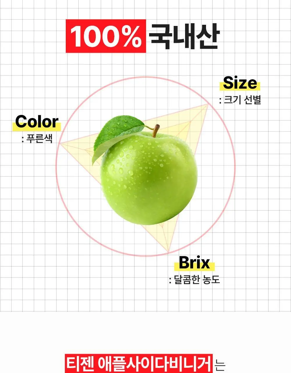 티젠 애플사이다비니거 10T 2종 1택 (애사비 사과/사과배) 상세페이지 13