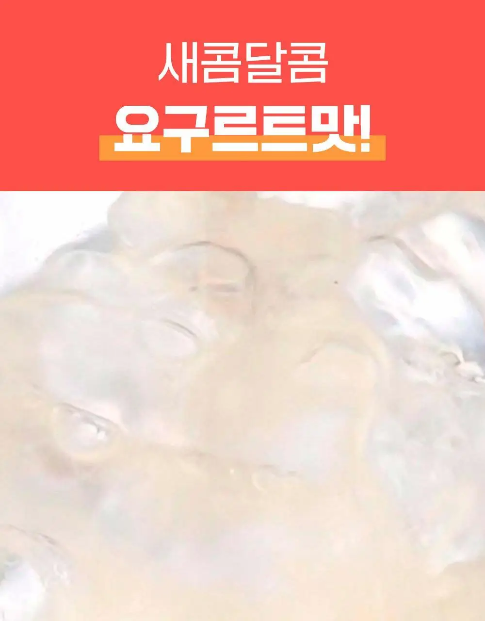 티젠 콤부차 요구르트 10T 상세페이지 2