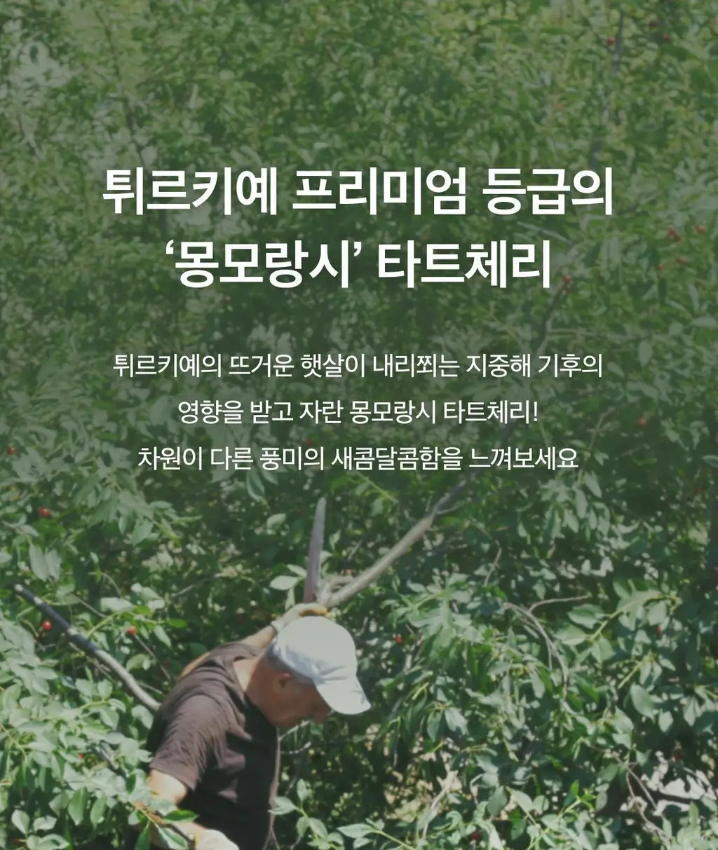 팜밀리 클렌즈 주스 70ml 14포 3종 택1(ABCD/타트체리/양배추) 상세페이지 50